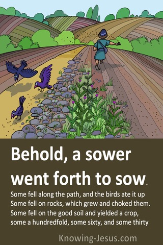Matthew 13:4 to 8 A Sower Went Forth To Sow (brown)
